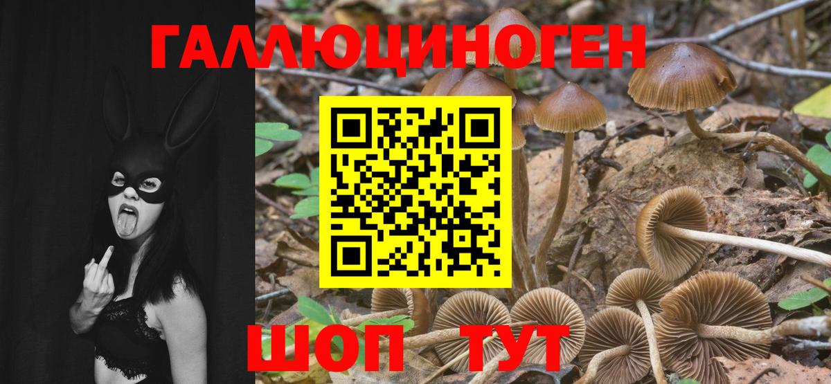 Гулькевичи  Галлюциногенные грибы ЛСД  Псилоцибиновые грибы мицелий  Вход с VPN 